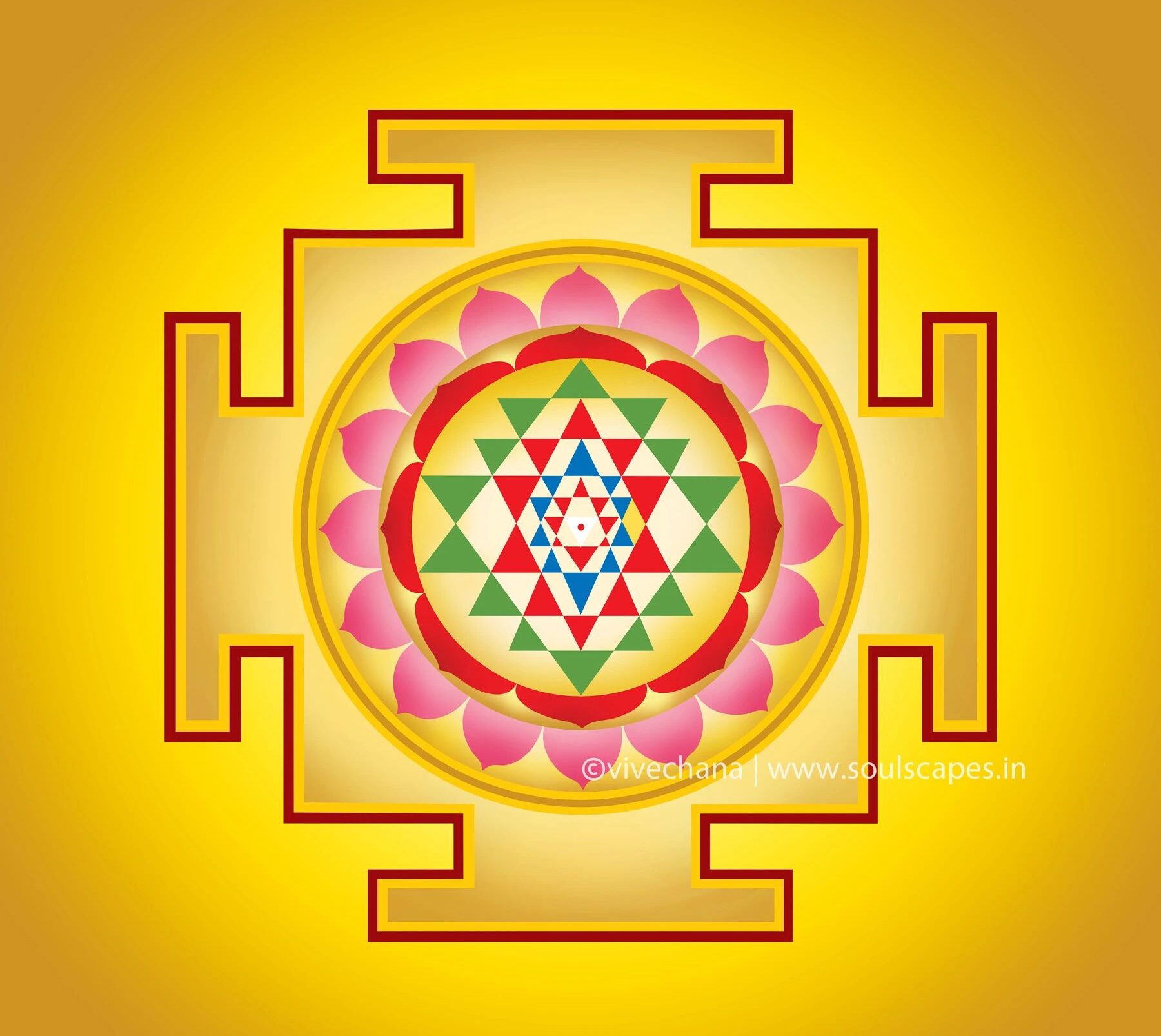 whatsapp image 2026 03 12 at 21.47.00